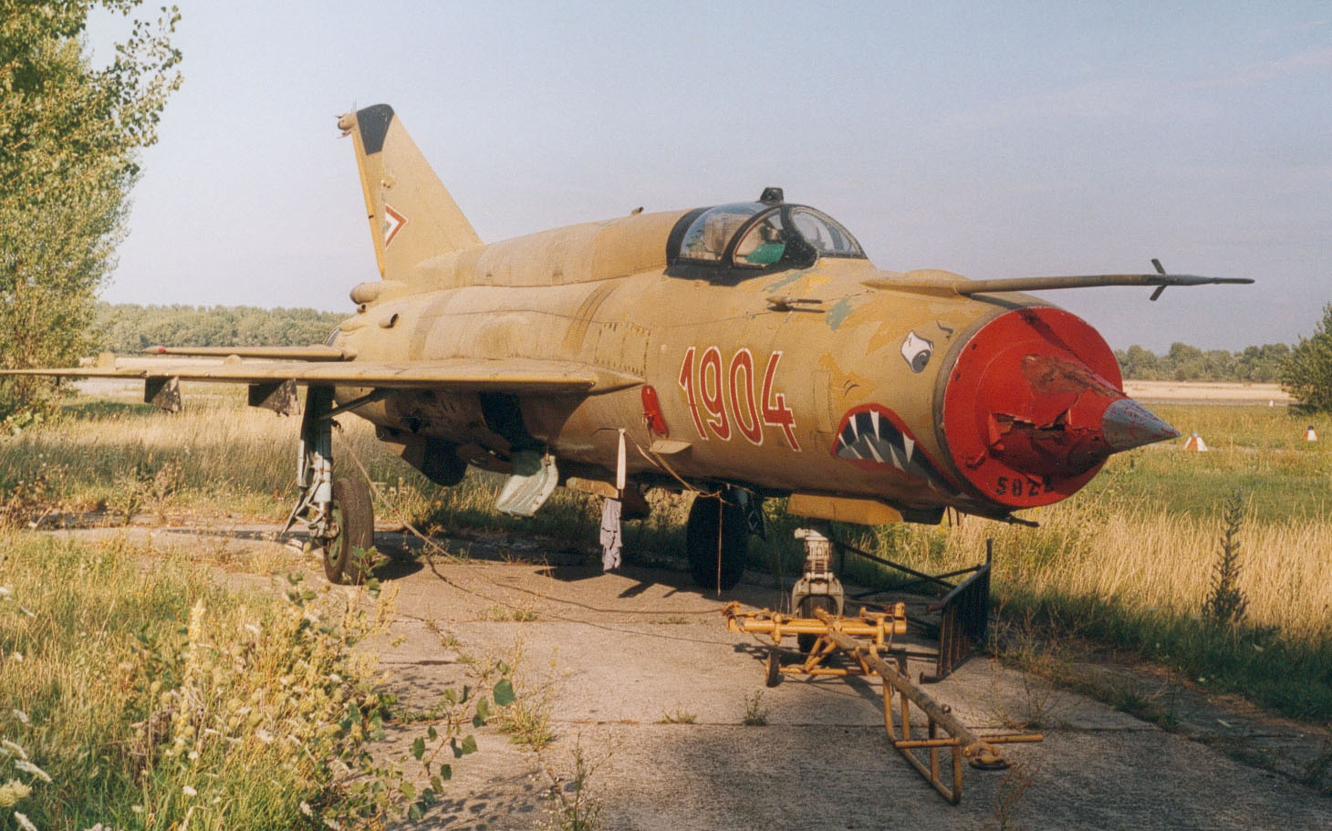 248.160.3_MiG_21BIS_1904_PA00_GYZ001.jpg