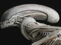 11 Halcyon Alien 3 Head profile

A fej és a "gallér" extra textúrázása