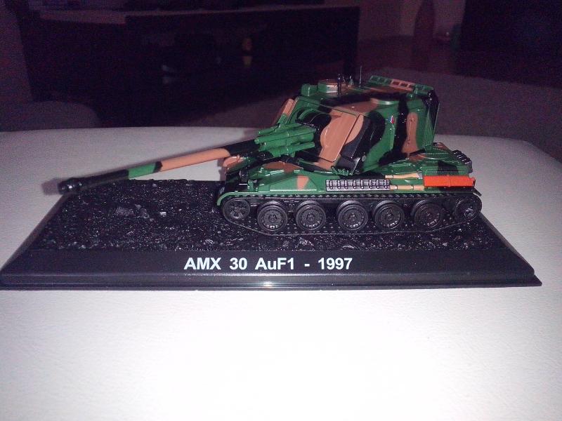 IMG_20140417_161006

AMX 30 AuF1