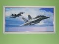 Jolly Roger VFA-103 F/A-18F Super Hornet festmény 

(Egyedi készítésű)
Méretei :
-Hossza ; 104,5 cm ,
-Magassága ; 56 cm ,
-Szélessége ; 3 cm ,
-Ára : Postával és csomagolással együtt ; 56000.- .