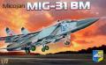 Mig-31BM

1:72 2500 Ft