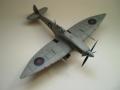 1560264_26718_P5230527

Spitfire Mk.VII - 3500 Ft