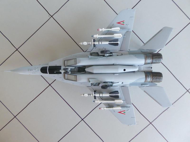 MiG-29 16 16