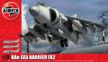Sea Harrier

1:72 3500ft