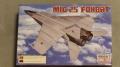 Minicraft MiG-25 (2000)