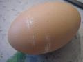 1. A kezdet

Így néz ki a makettépítéshez előkészített, lecsiszolt tojáshéj.