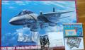 F-14A Jolly Rogers_Hasegawa-Pro+Eduard_1-48_28000Ft