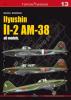 Kagero 13 Ilyushin IL-2 AM-38 all models